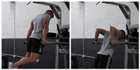 Dips - Chest Version