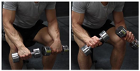 Seated Dumbbell Palms-Down Wrist Curl