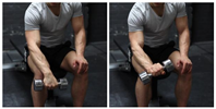 Seated One-Arm Dumbbell Palms-Down Wrist Curl